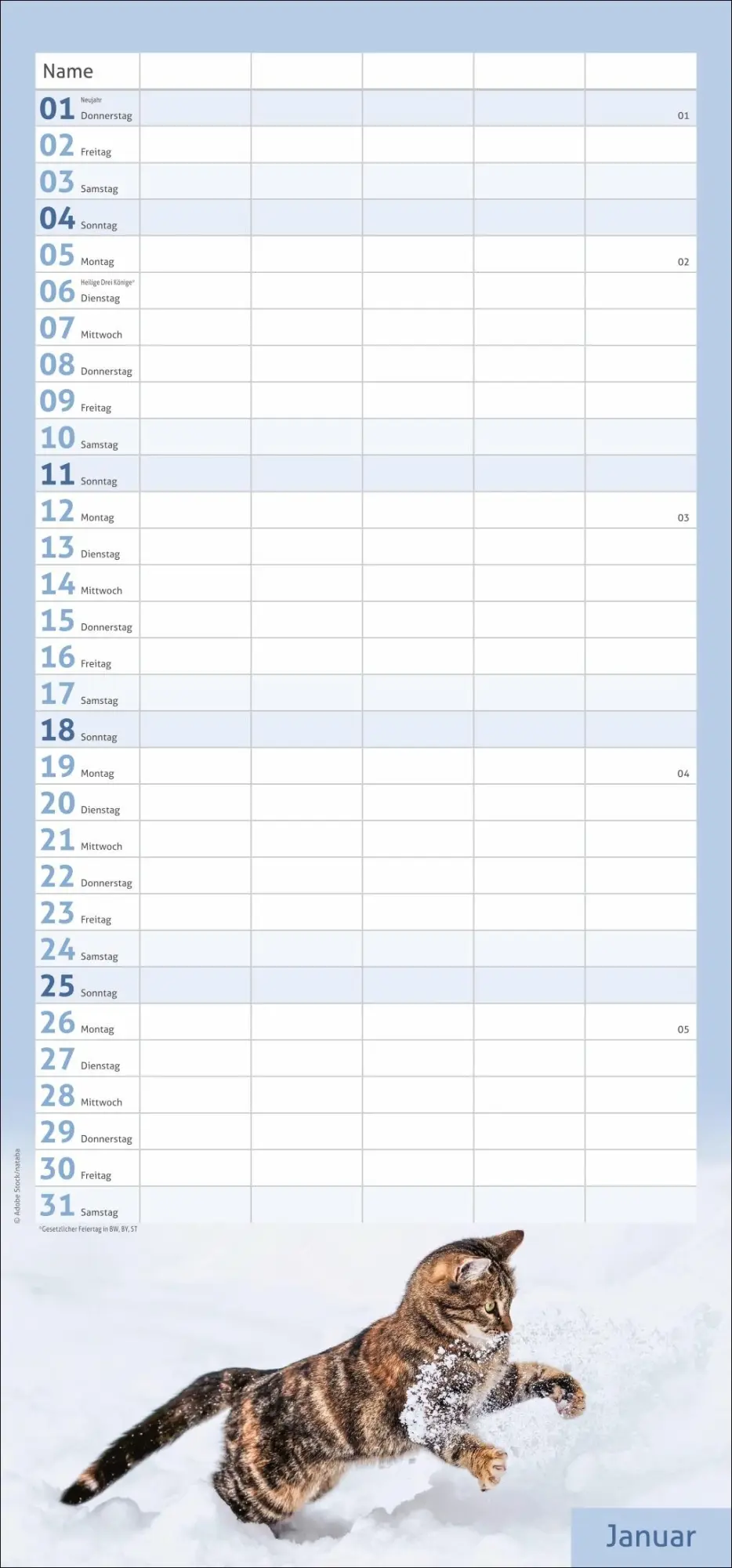 Bild: 9783756412822 | times&amp;more Katzen Familienplaner 2026 | Heye | Kalender | 13 S. | 2026