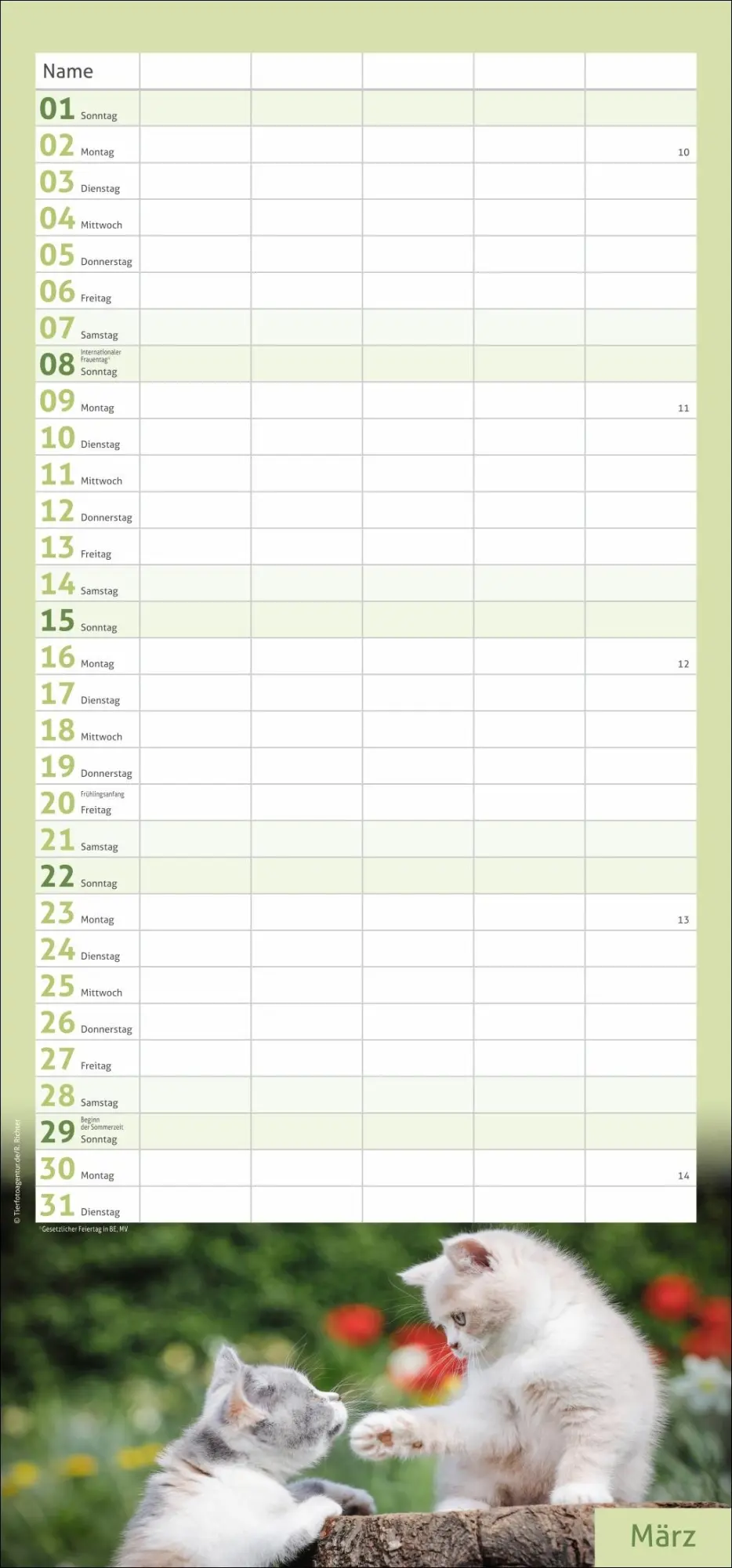 Bild: 9783756412822 | times&amp;more Katzen Familienplaner 2026 | Heye | Kalender | 13 S. | 2026