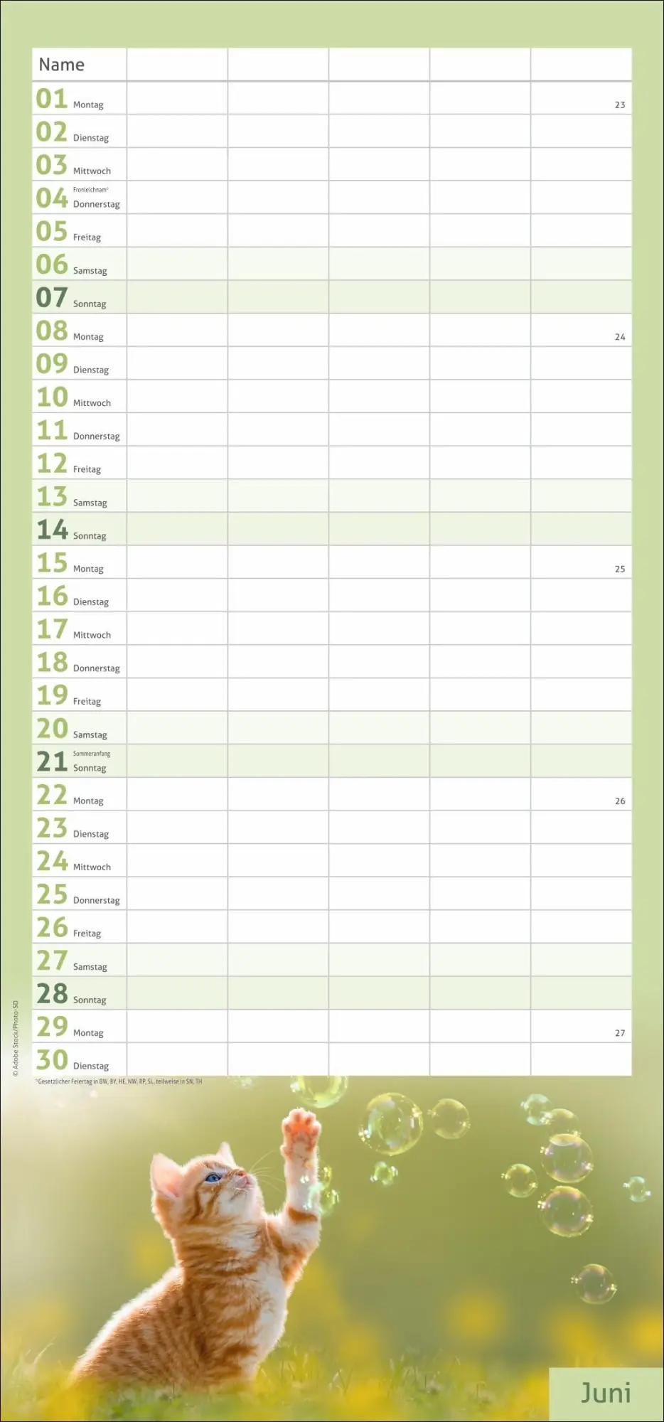Bild: 9783756412822 | times&amp;more Katzen Familienplaner 2026 | Heye | Kalender | 13 S. | 2026