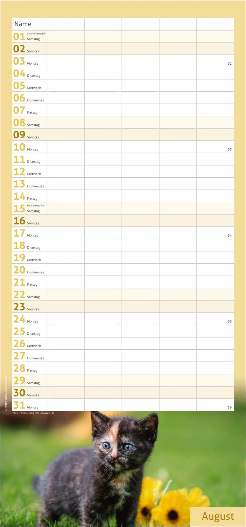 Bild: 9783756412822 | times&amp;more Katzen Familienplaner 2026 | Heye | Kalender | 13 S. | 2026