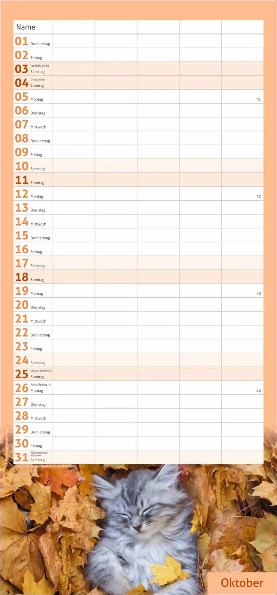 Bild: 9783756412822 | times&amp;more Katzen Familienplaner 2026 | Heye | Kalender | 13 S. | 2026