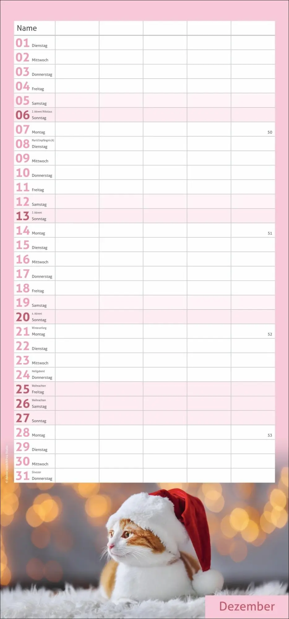 Bild: 9783756412822 | times&amp;more Katzen Familienplaner 2026 | Heye | Kalender | 13 S. | 2026