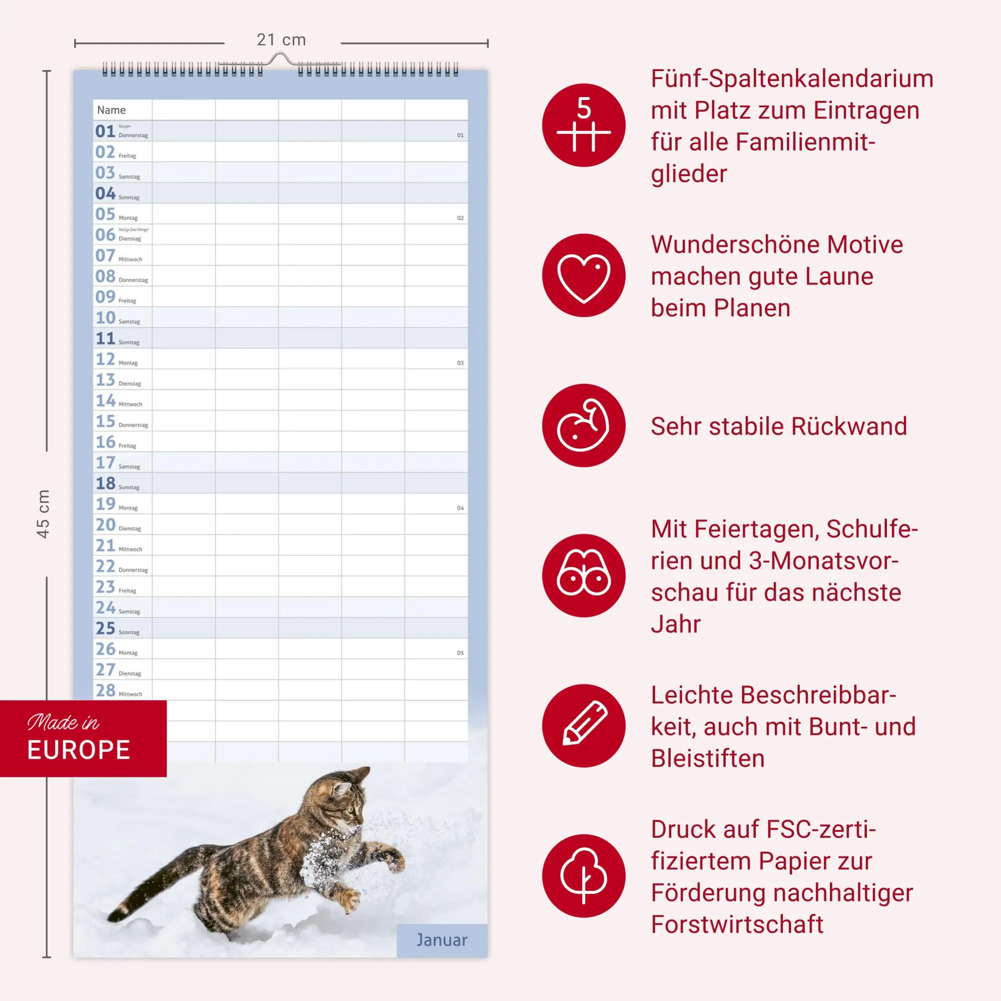 Bild: 9783756412822 | times&amp;more Katzen Familienplaner 2026 | Heye | Kalender | 13 S. | 2026