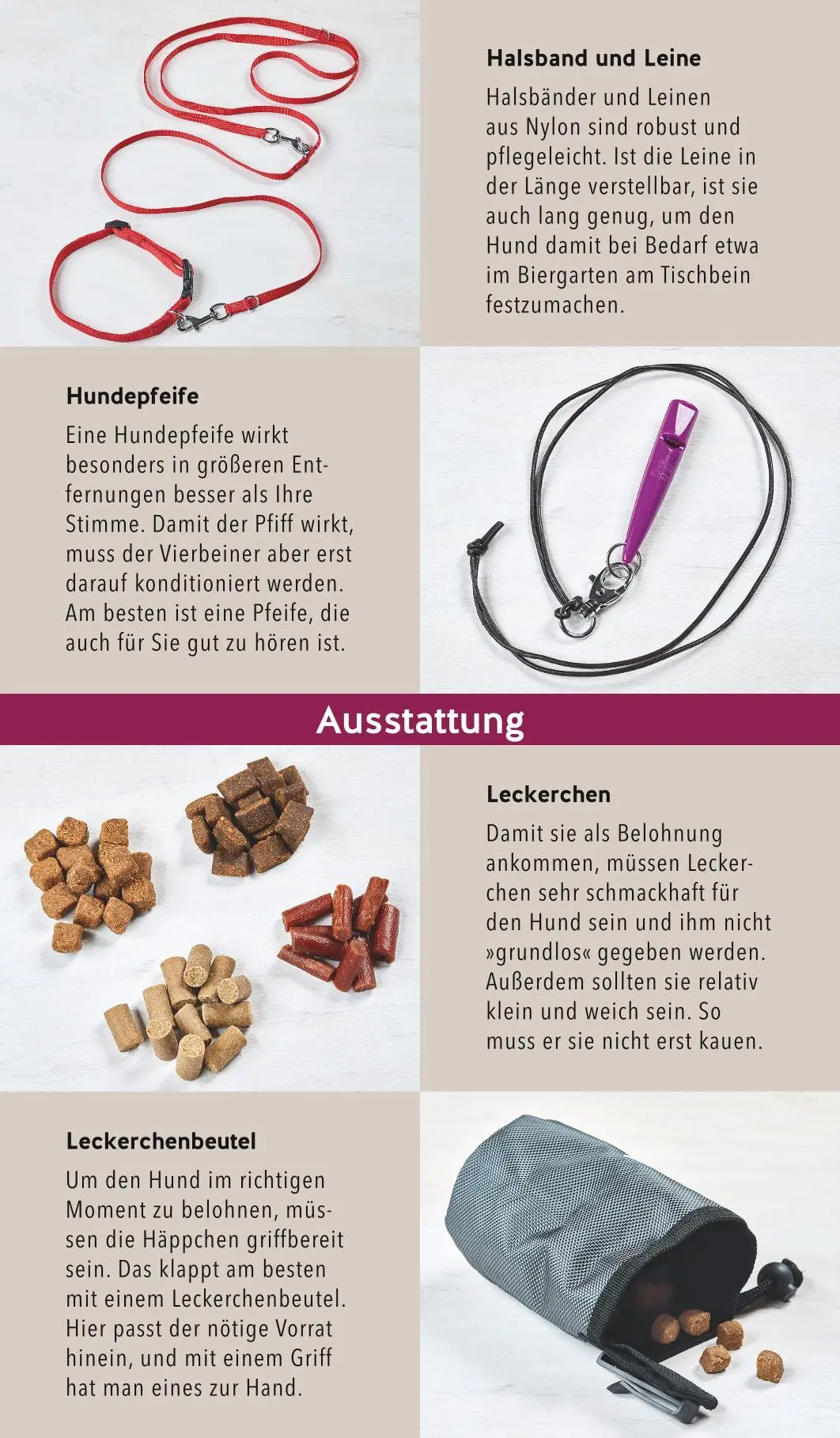 Bild: 9783833872822 | Hunde-Gassi-Box | Katharina Schlegl-Kofler | Buch | 72 S. | Deutsch