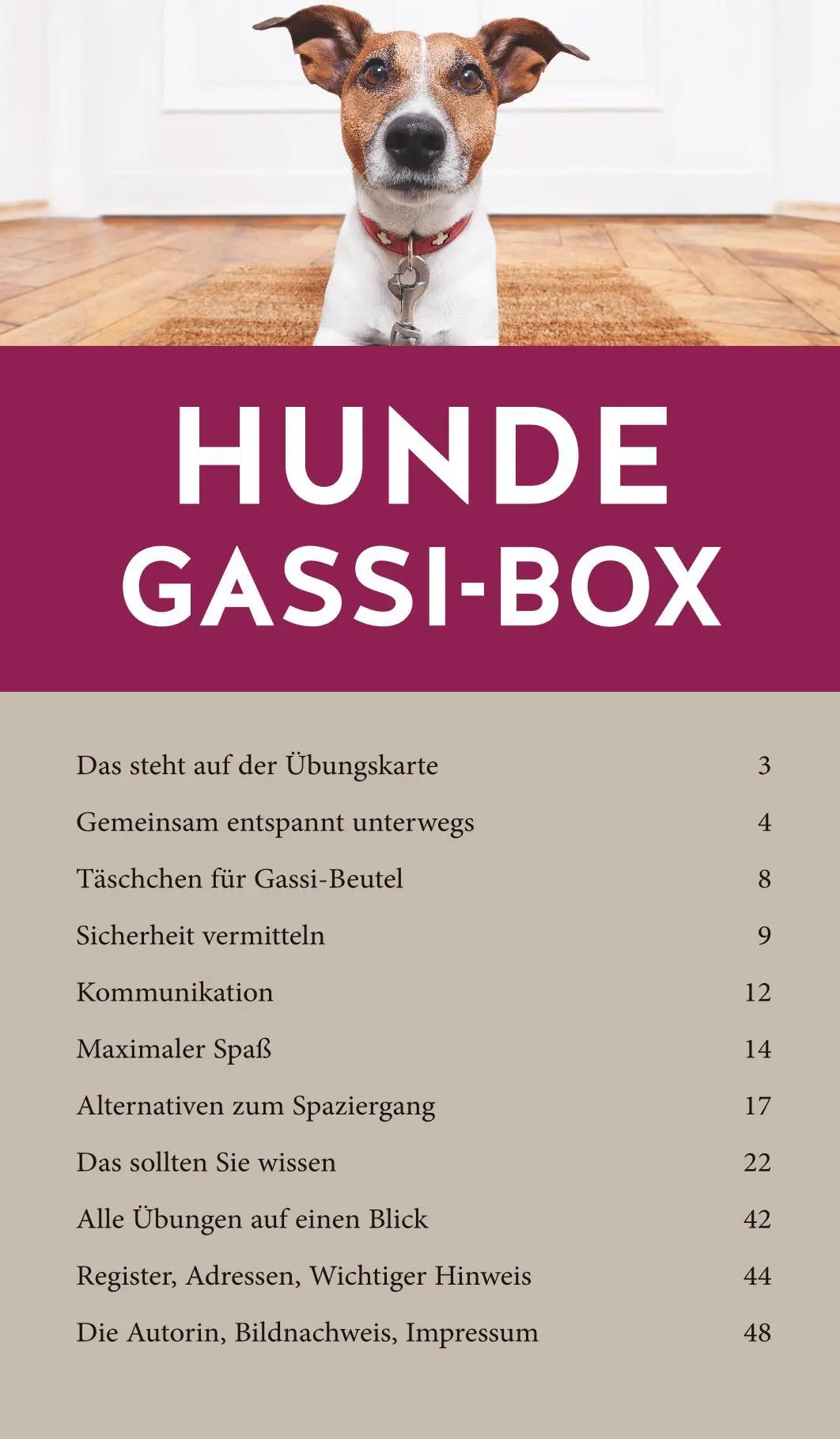 Bild: 9783833872822 | Hunde-Gassi-Box | Katharina Schlegl-Kofler | Buch | 72 S. | Deutsch