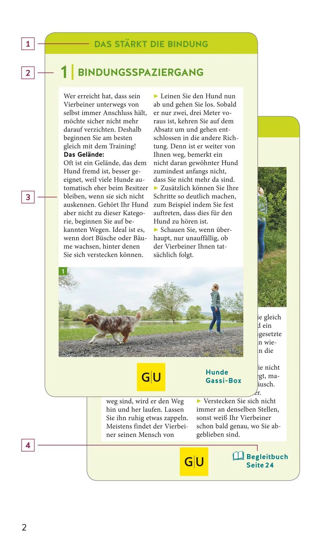 Bild: 9783833872822 | Hunde-Gassi-Box | Katharina Schlegl-Kofler | Buch | 72 S. | Deutsch