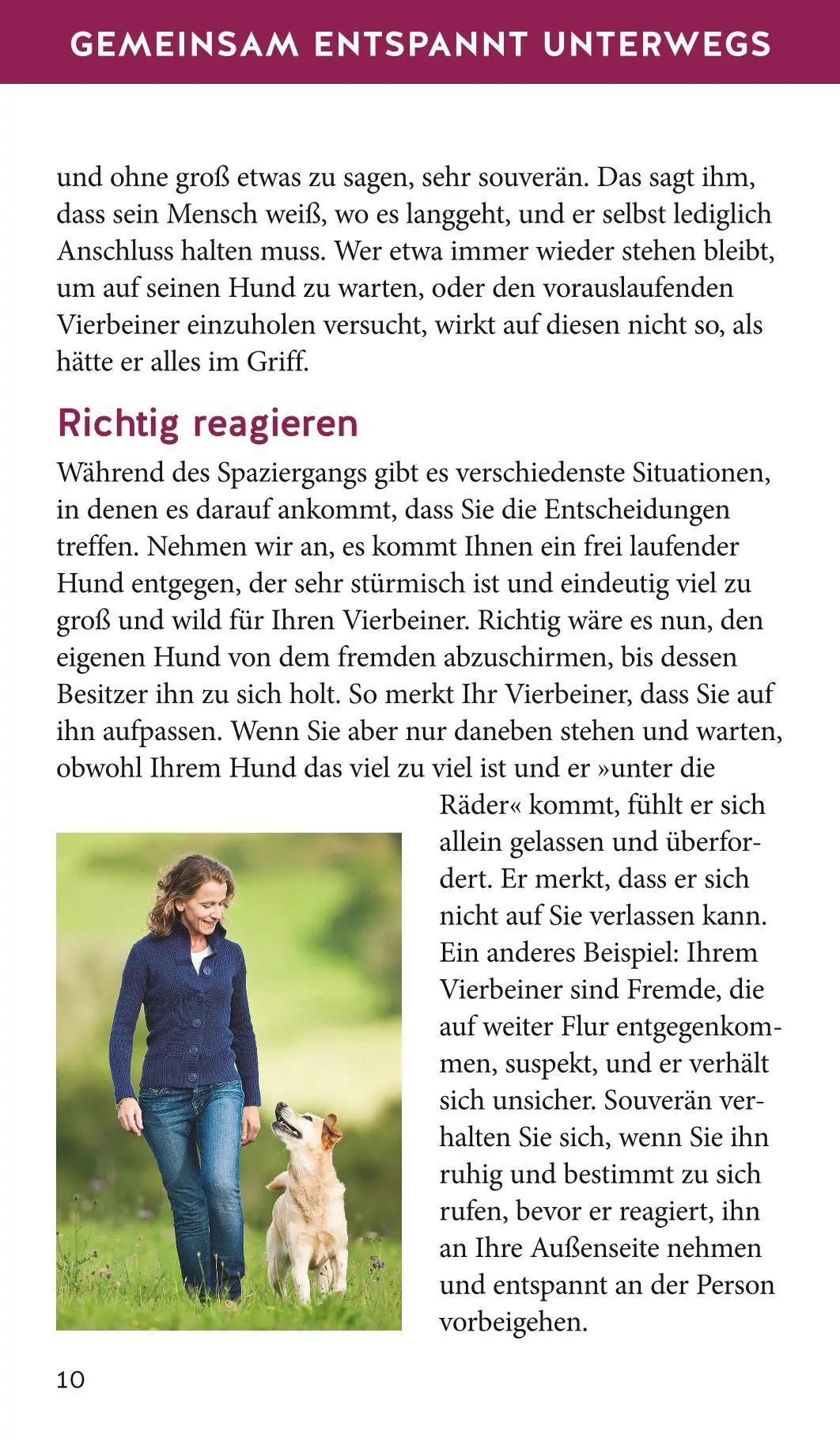 Bild: 9783833872822 | Hunde-Gassi-Box | Katharina Schlegl-Kofler | Buch | 72 S. | Deutsch