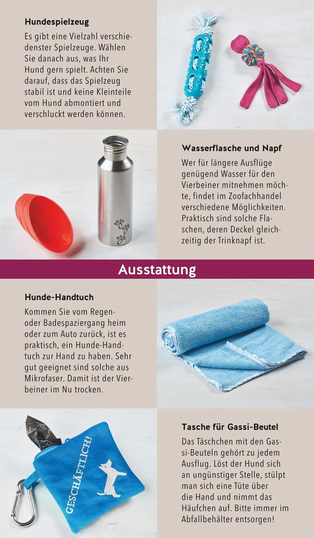 Bild: 9783833872822 | Hunde-Gassi-Box | Katharina Schlegl-Kofler | Buch | 72 S. | Deutsch