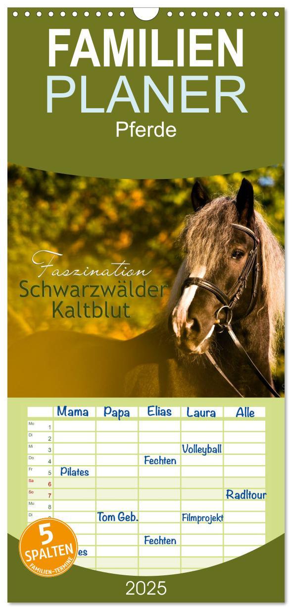 Cover: 9783457112922 | Familienplaner 2025 - Faszination Schwarzwälder Kaltblut mit 5...