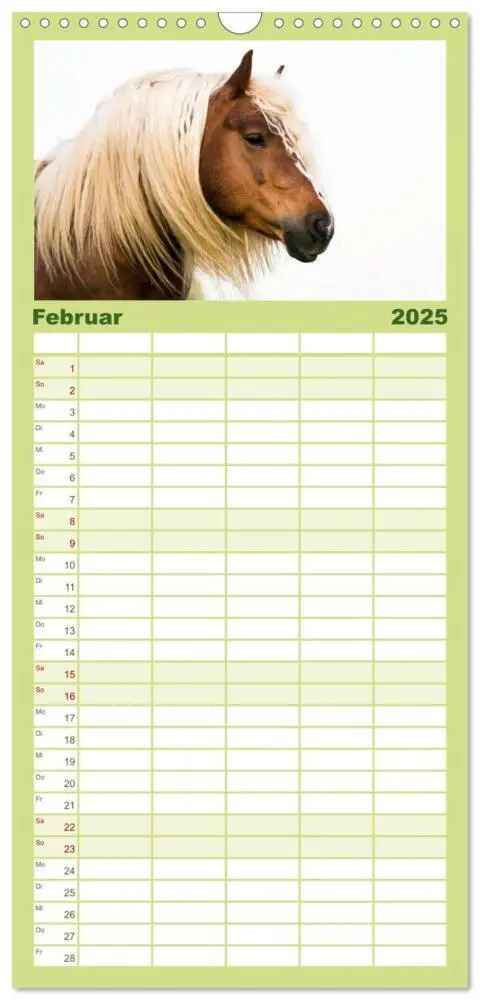Bild: 9783457112922 | Familienplaner 2025 - Faszination Schwarzwälder Kaltblut mit 5...