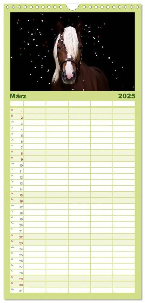 Bild: 9783457112922 | Familienplaner 2025 - Faszination Schwarzwälder Kaltblut mit 5...
