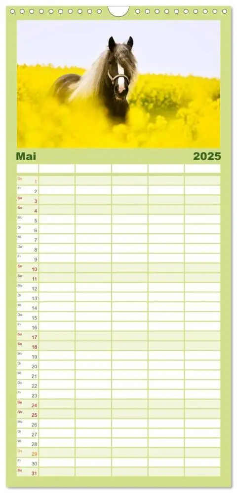 Bild: 9783457112922 | Familienplaner 2025 - Faszination Schwarzwälder Kaltblut mit 5...