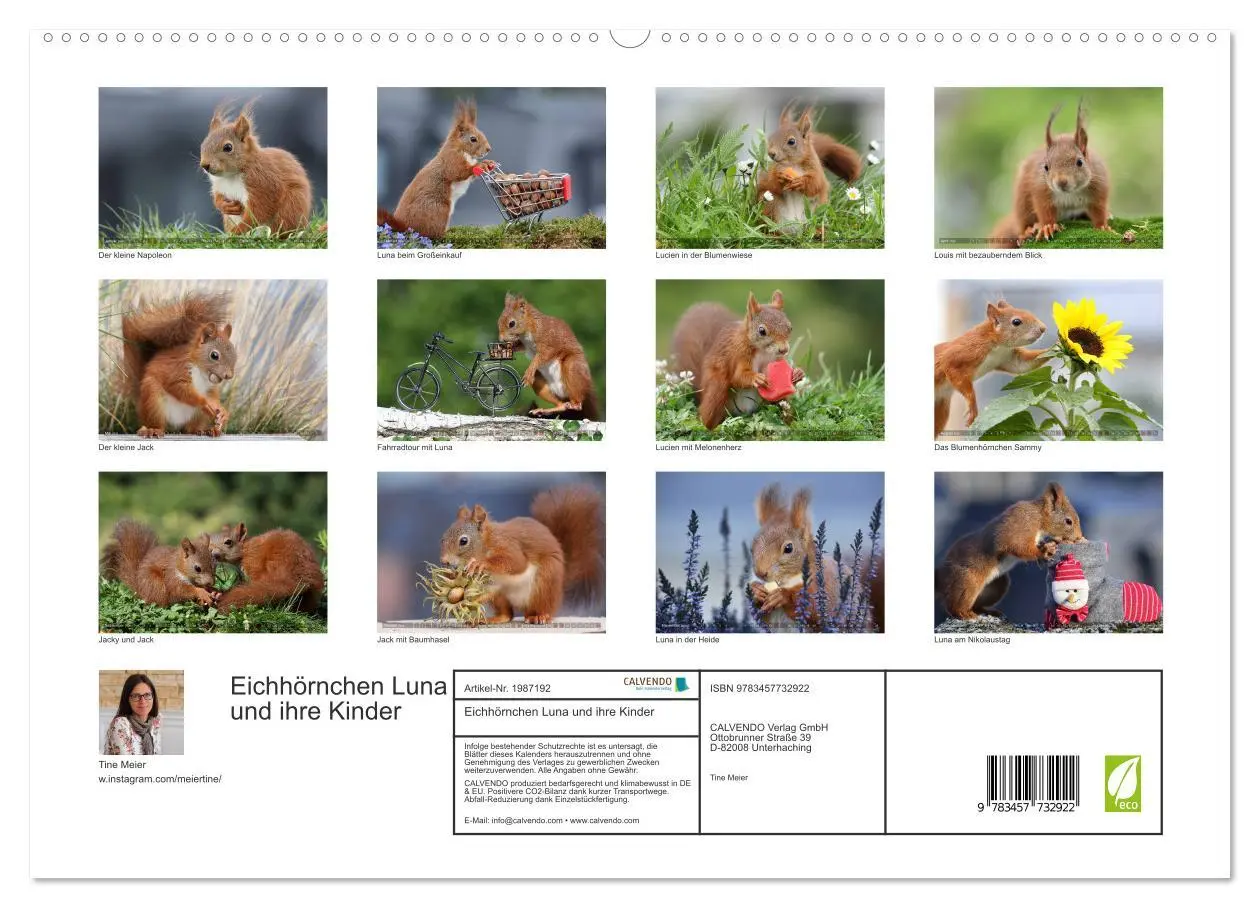 Bild: 9783457732922 | Eichhörnchen Luna und ihre Kinder (hochwertiger Premium...