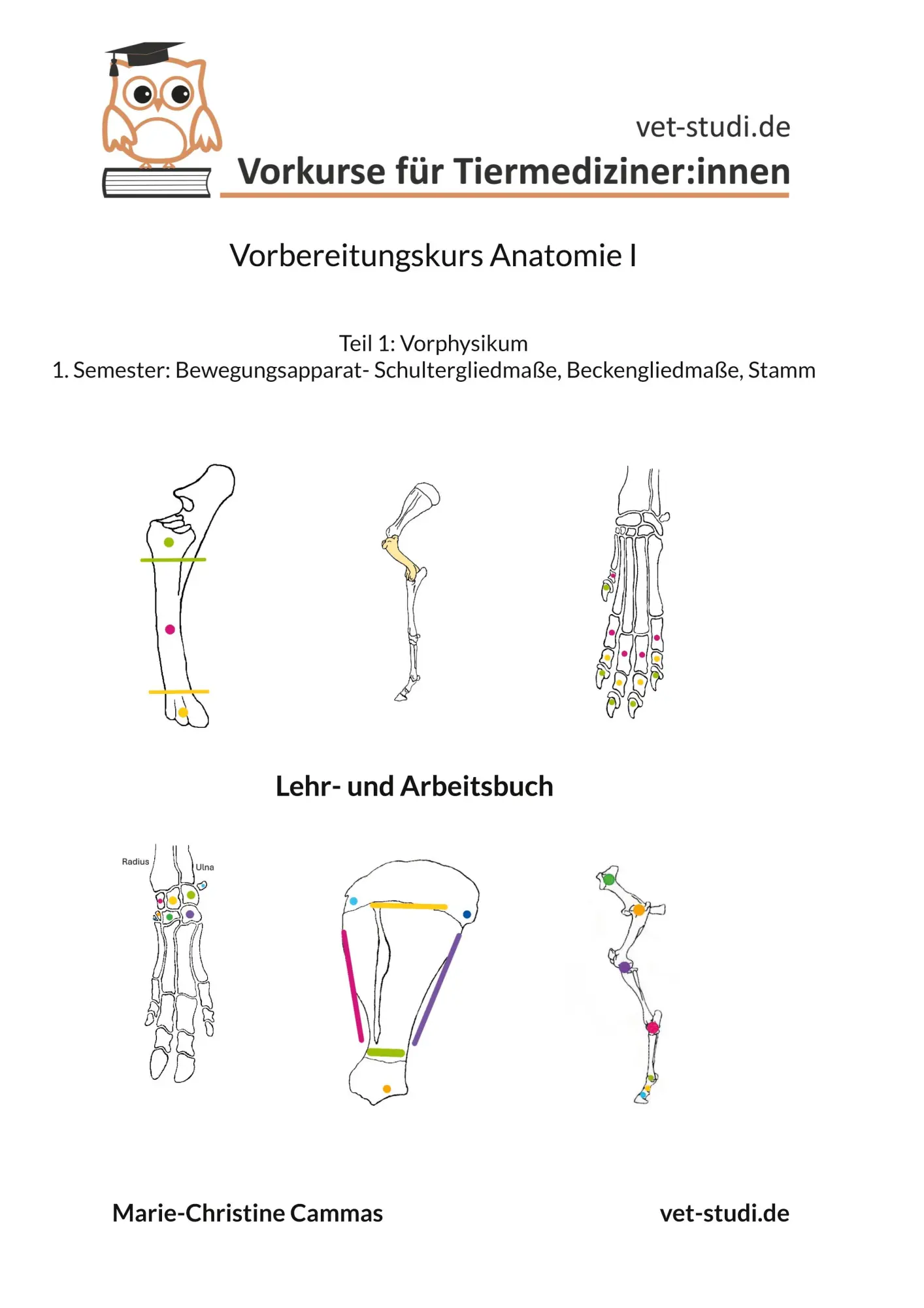 Cover: 9783819242922 | Vorbereitungskurs Anatomie I | Vorkurse für Tiermediziner:innen | Buch