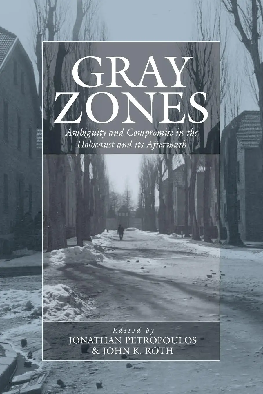 Cover: 9781845453022 | Gray Zones | John Roth | Taschenbuch | Paperback | Englisch | 2006