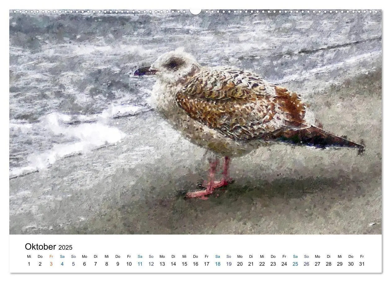 Bild: 9783435143122 | Landschaften auf dem Darß in Ölfarben (Wandkalender 2025 DIN A2...