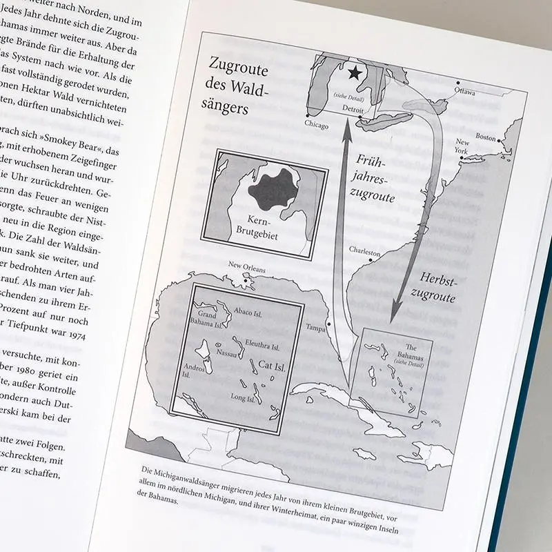 Bild: 9783446273122 | Auf Schwingen um die Welt | Die globale Odyssee der Zugvögel | Buch