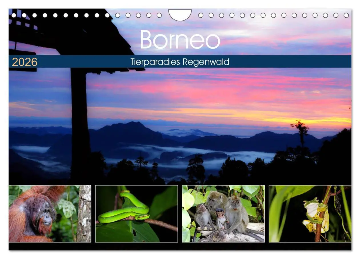 Cover: 9783457853122 | Borneo - Tierparadies Regenwald (Wandkalender 2026 DIN A4 quer),...