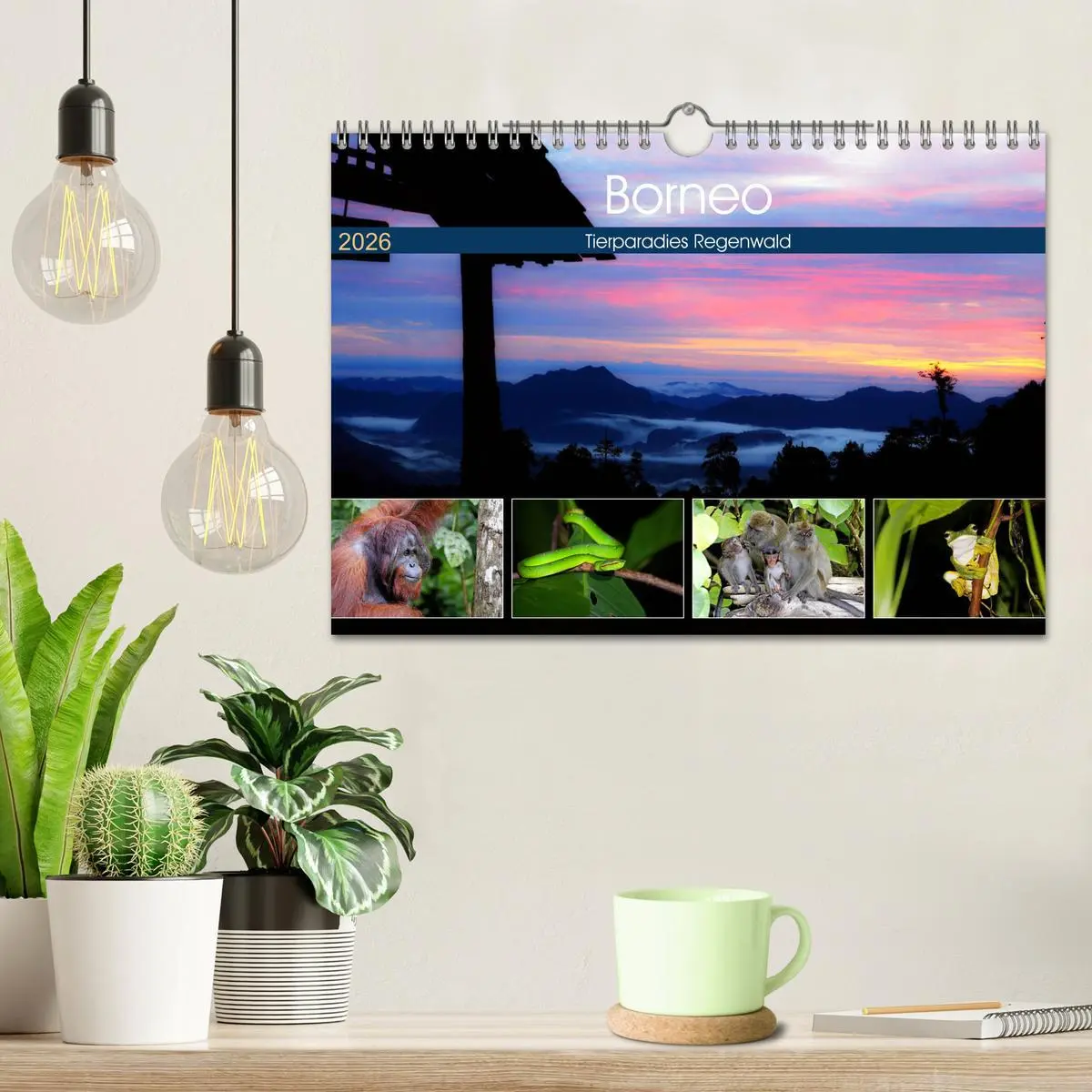 Bild: 9783457853122 | Borneo - Tierparadies Regenwald (Wandkalender 2026 DIN A4 quer),...