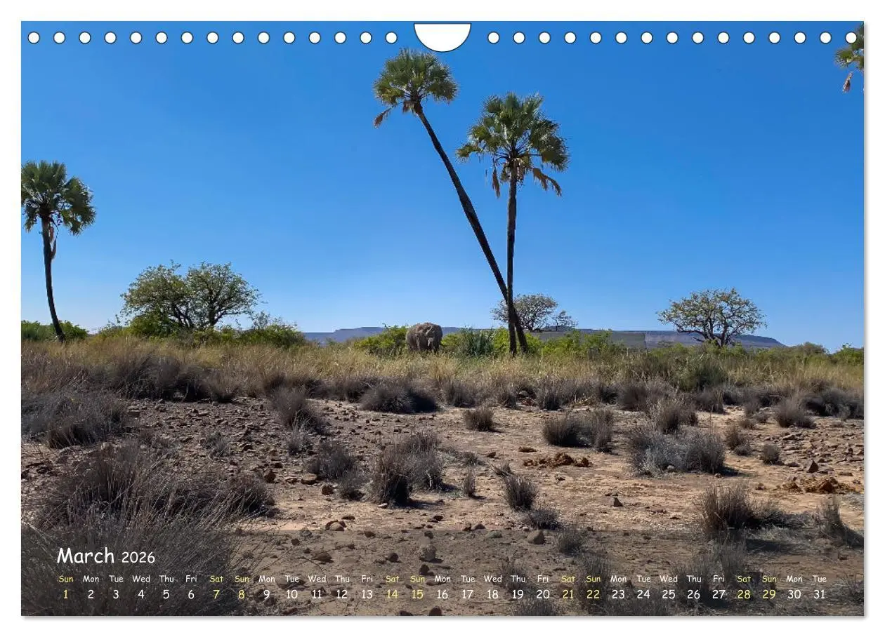 Bild: 9783516553222 | Namibia - African Beauty (Wall Calendar 2026 DIN A4 landscape),...