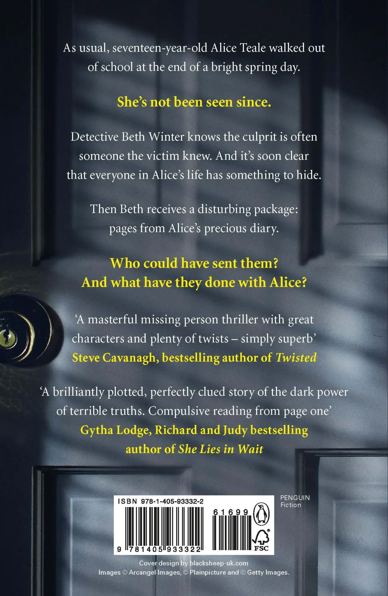 Rückseite: 9781405933322 | Alice Teale is Missing | The gripping thriller packed with twists