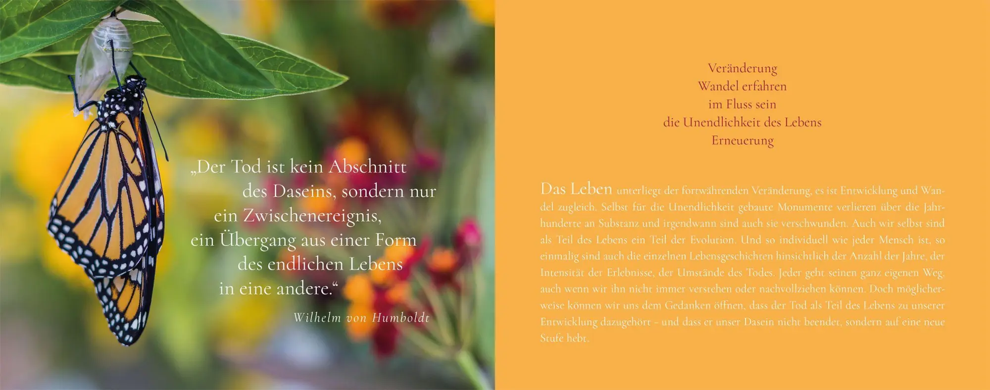 Bild: 9783451033322 | Das Funkeln der Sterne | Trost finden in Zeiten der Trauer | Buch