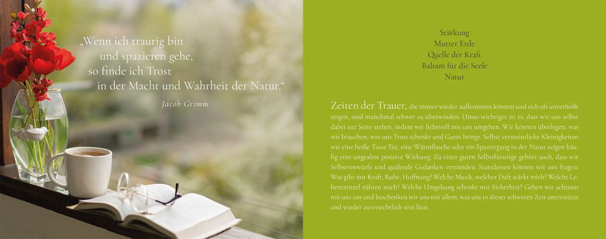 Bild: 9783451033322 | Das Funkeln der Sterne | Trost finden in Zeiten der Trauer | Buch