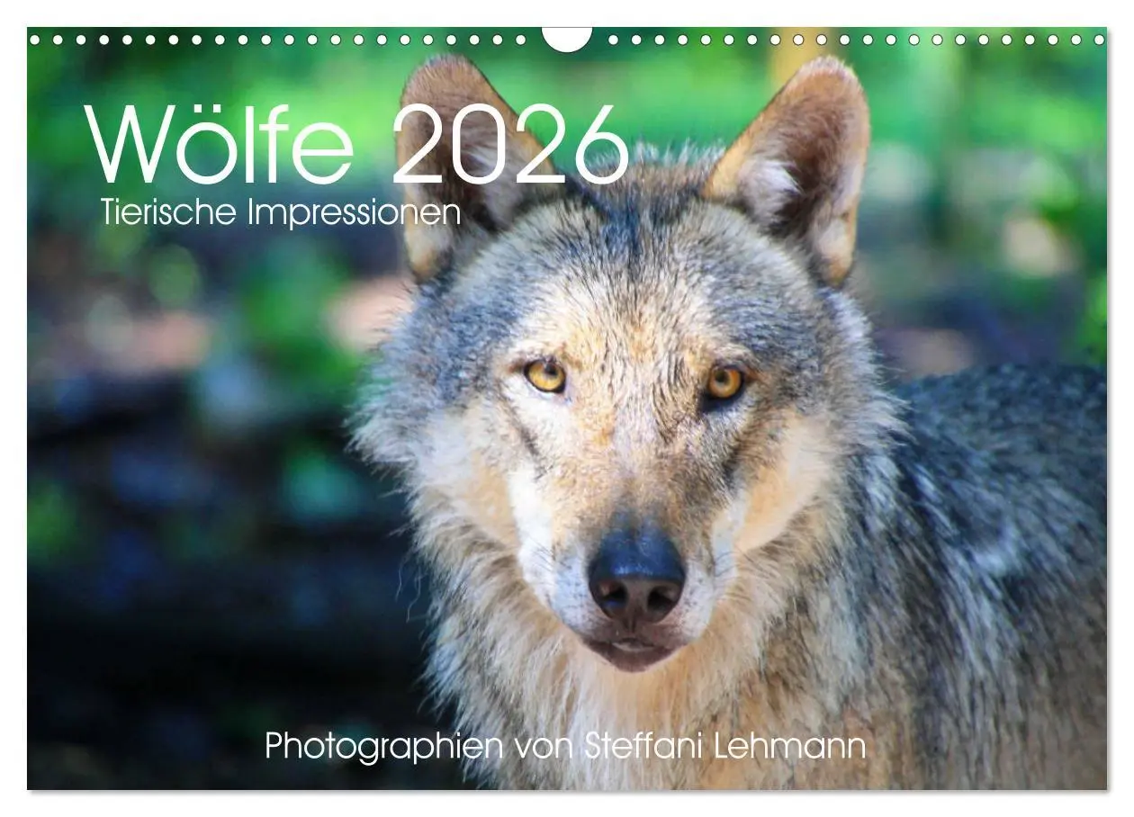 Cover: 9783457903322 | Wölfe 2026. Tierische Impressionen (Wandkalender 2026 DIN A3 quer),...