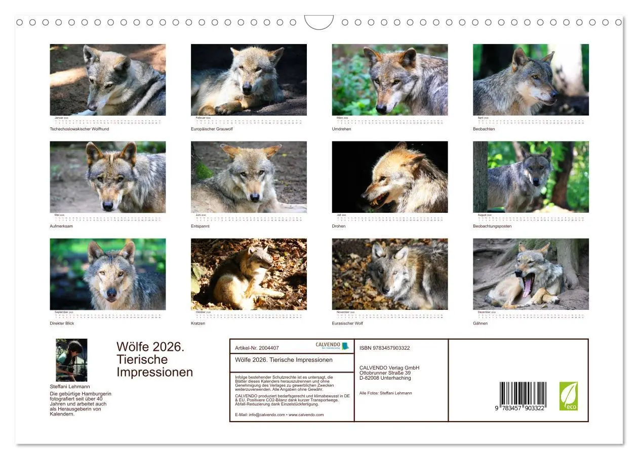 Bild: 9783457903322 | Wölfe 2026. Tierische Impressionen (Wandkalender 2026 DIN A3 quer),...