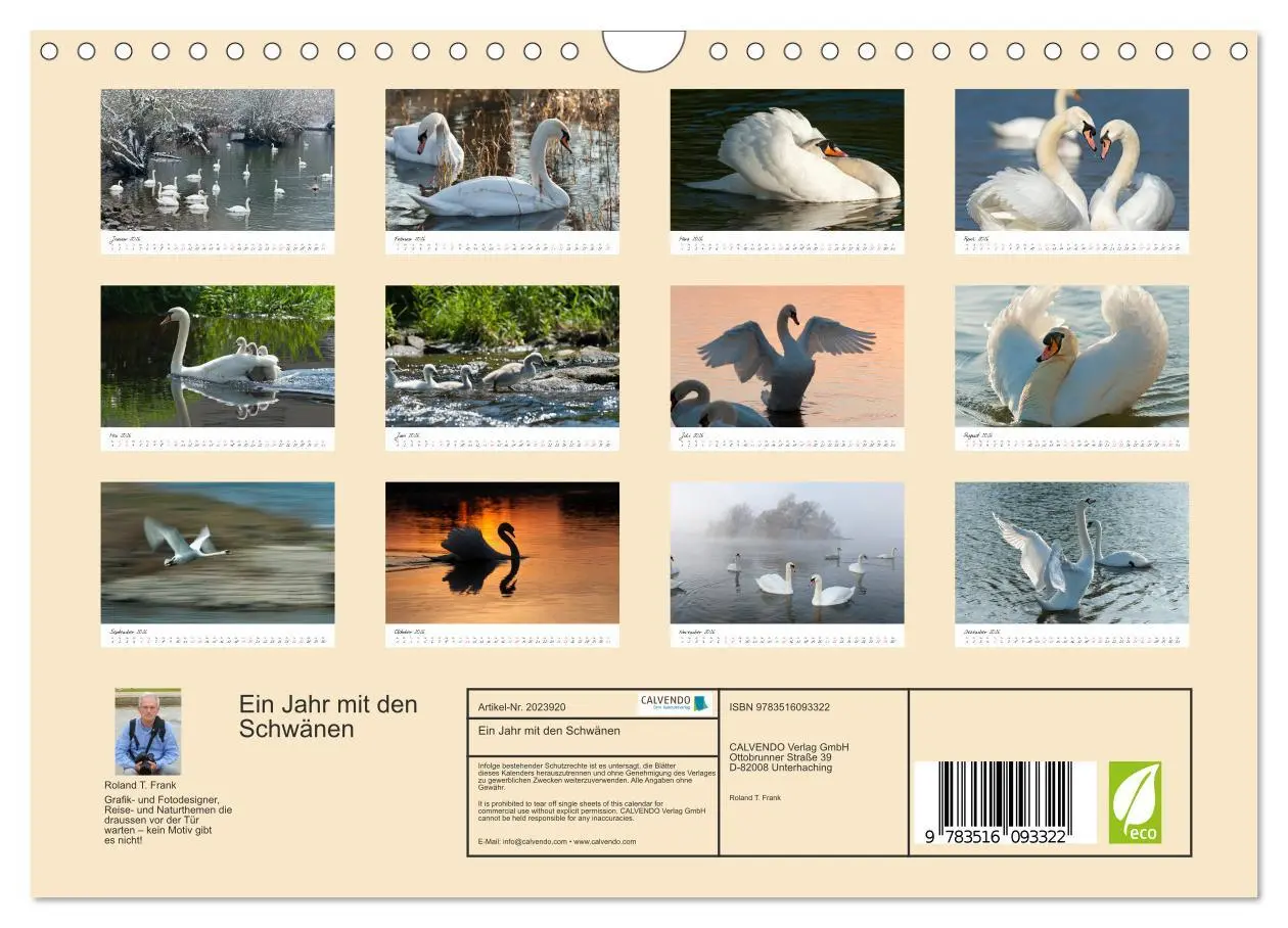 Bild: 9783516093322 | Ein Jahr mit den Schwänen (Wandkalender 2026 DIN A4 quer), CALVENDO...