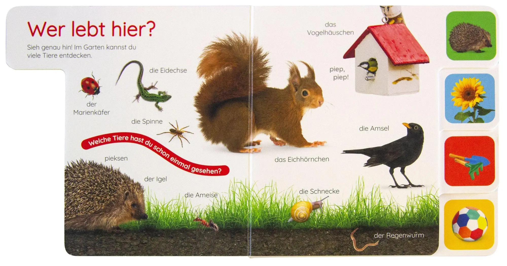 Bild: 9783831053322 | Erstes Lernen Pocket. Garten | DK Erstes Lernen | Buch | 10 S. | 2026