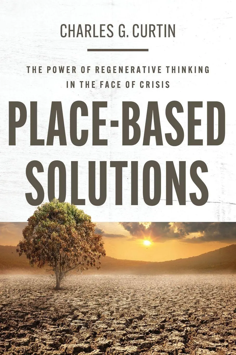 Cover: 9781421453422 | Place-Based Solutions | Charles G Curtin | Taschenbuch | Englisch