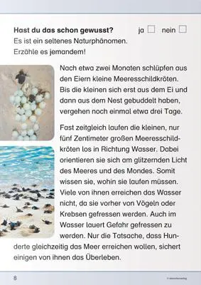 Bild: 9783939293422 | Ich kenne die Meeresschildkröte - Lebenszyklus | Katrin Langhans