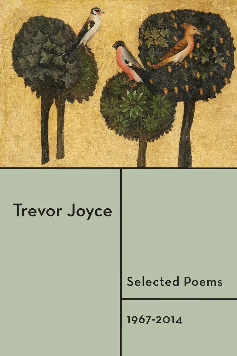 Cover: 9781848613522 | Selected Poems | 1967-2014 | Trevor Joyce | Taschenbuch | Englisch