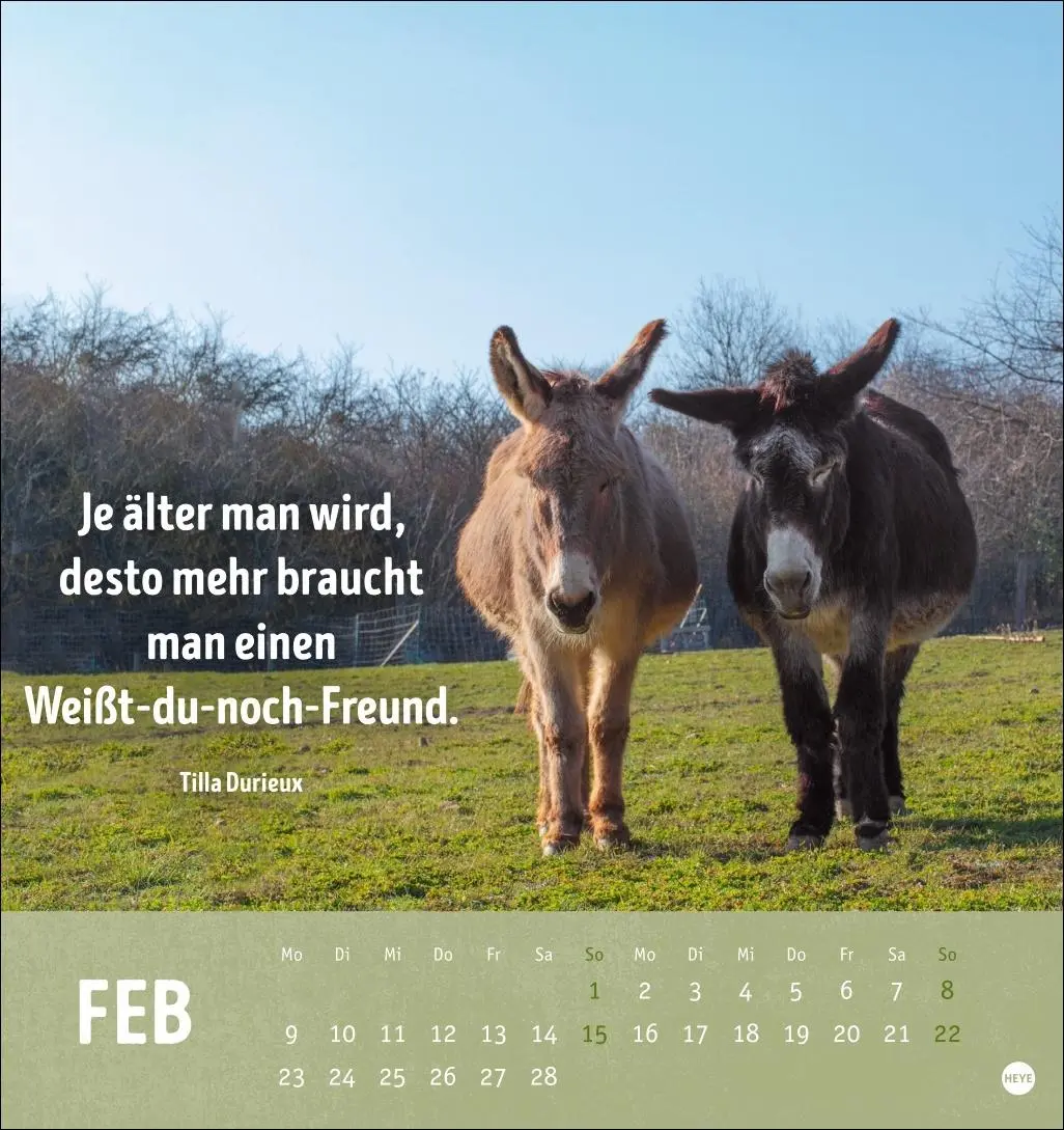 Bild: 9783756413522 | Alt! Aber gut drauf Postkartenkalender 2026 - Der tierische...
