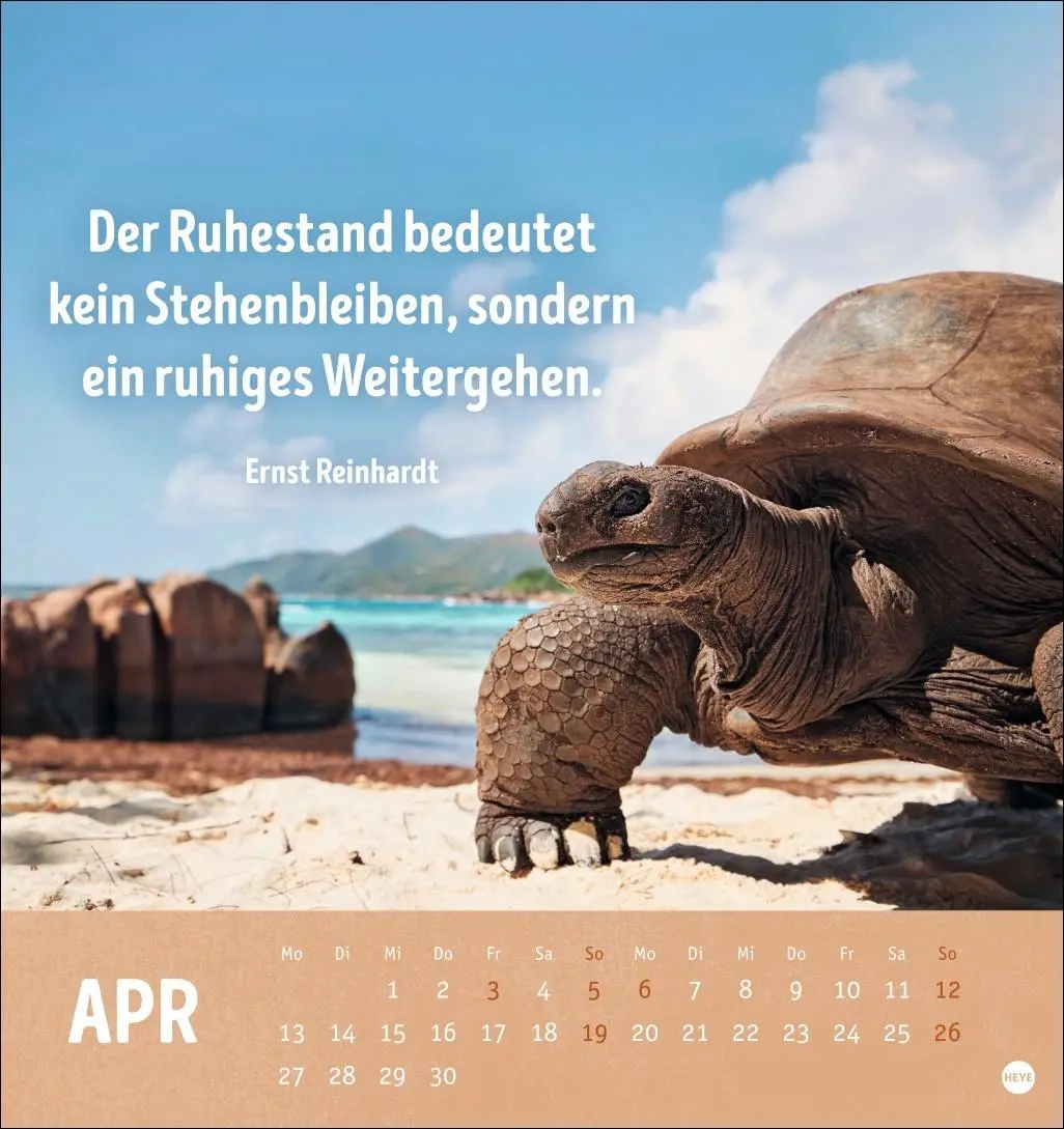Bild: 9783756413522 | Alt! Aber gut drauf Postkartenkalender 2026 - Der tierische...