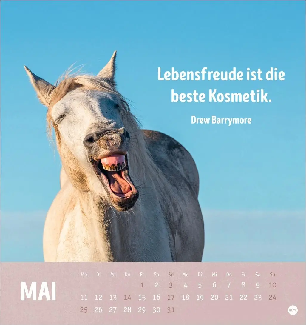 Bild: 9783756413522 | Alt! Aber gut drauf Postkartenkalender 2026 - Der tierische...