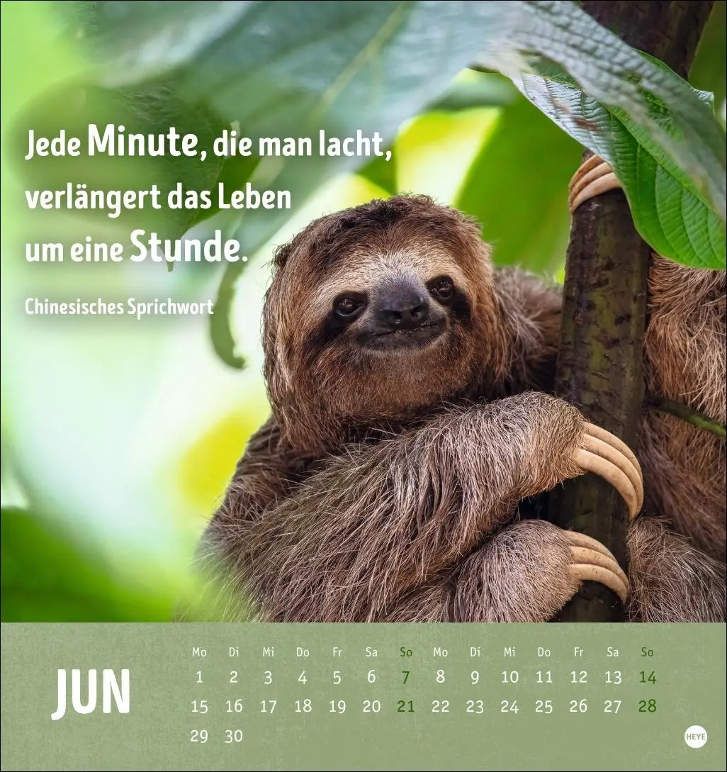 Bild: 9783756413522 | Alt! Aber gut drauf Postkartenkalender 2026 - Der tierische...