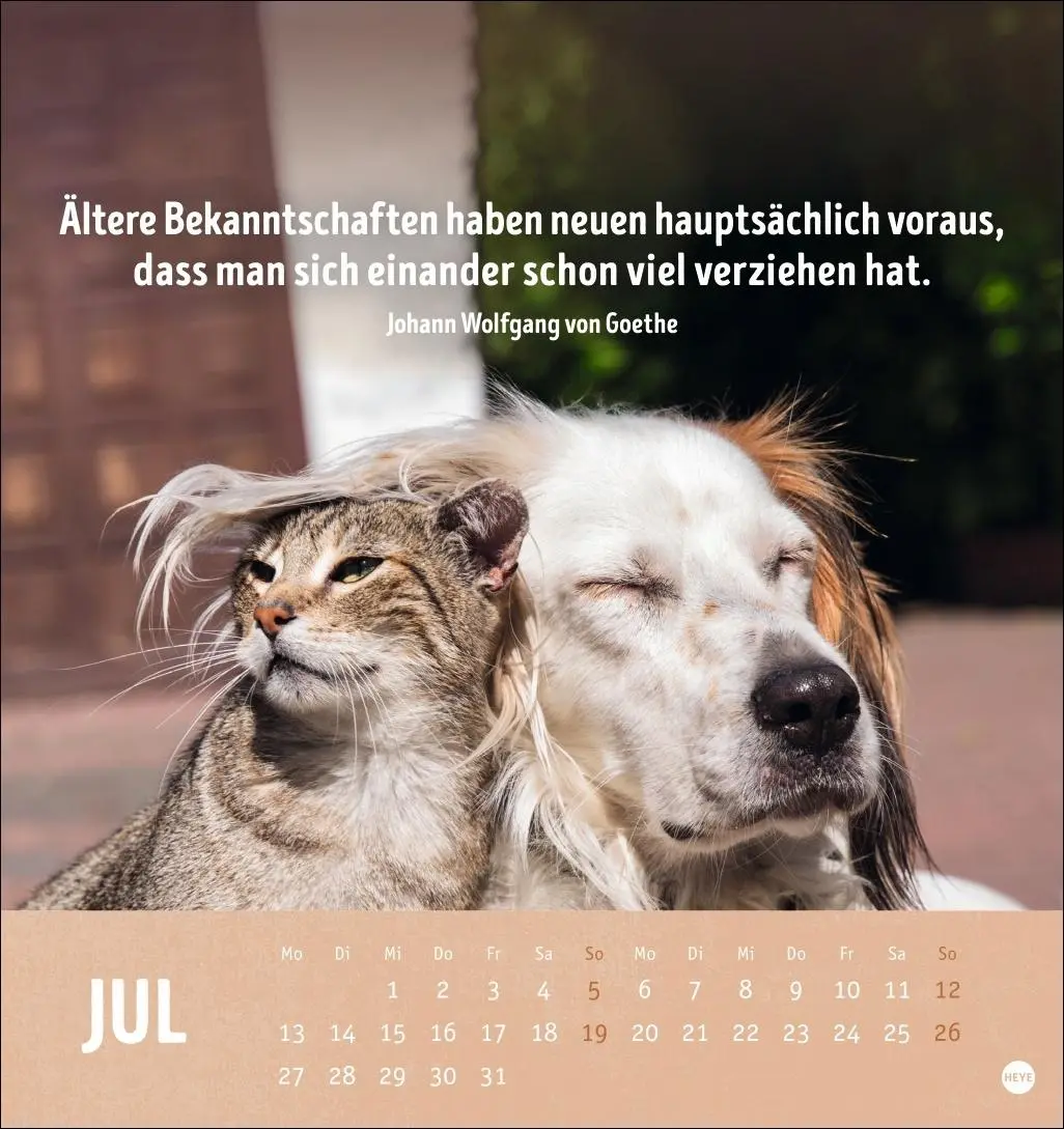 Bild: 9783756413522 | Alt! Aber gut drauf Postkartenkalender 2026 - Der tierische...
