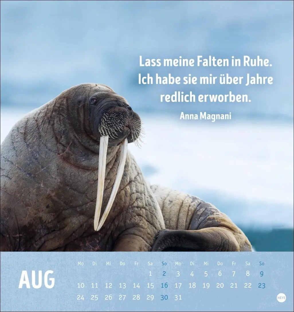 Bild: 9783756413522 | Alt! Aber gut drauf Postkartenkalender 2026 - Der tierische...