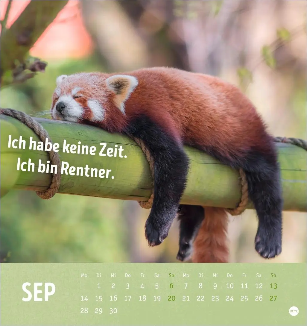 Bild: 9783756413522 | Alt! Aber gut drauf Postkartenkalender 2026 - Der tierische...