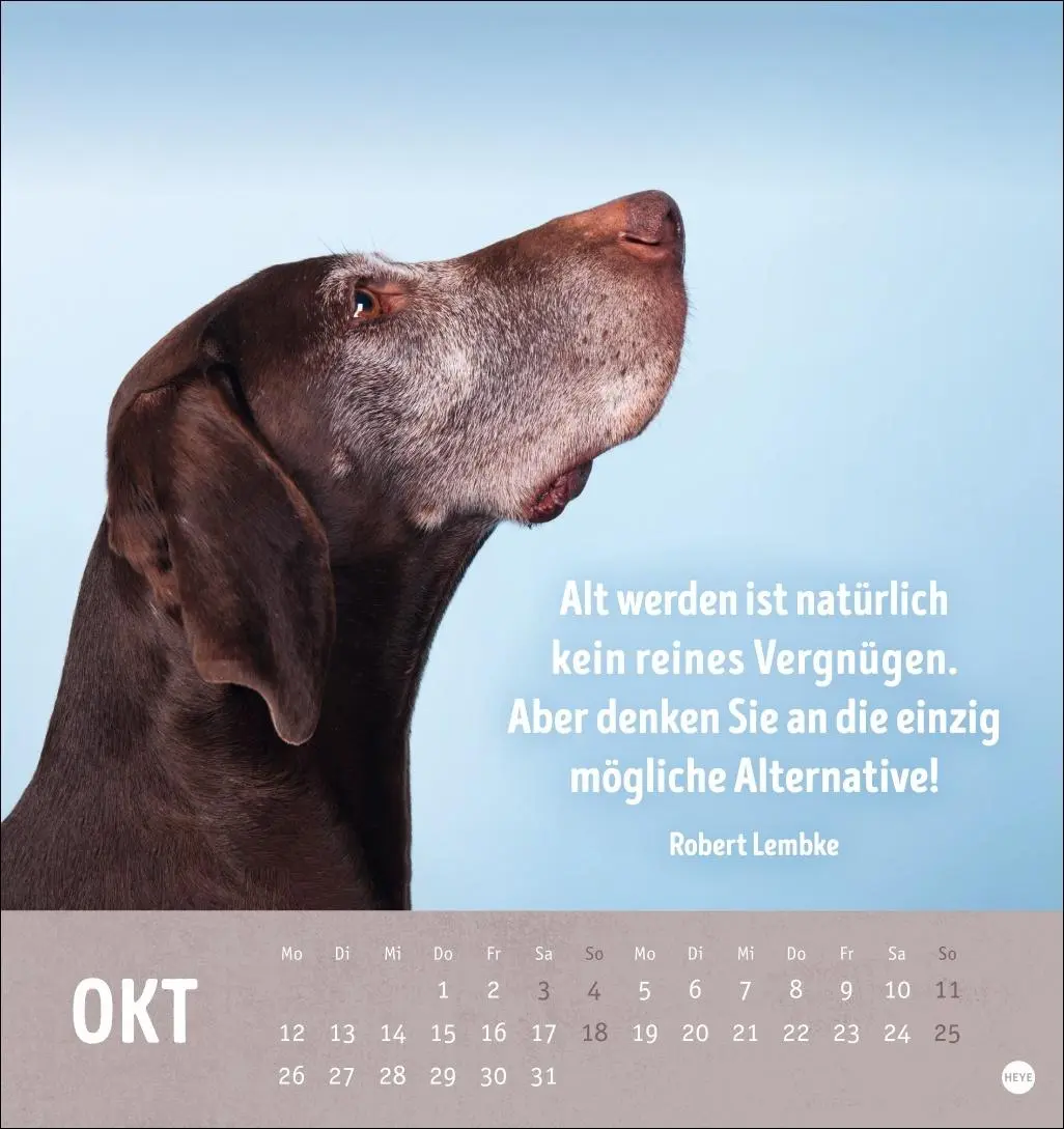 Bild: 9783756413522 | Alt! Aber gut drauf Postkartenkalender 2026 - Der tierische...