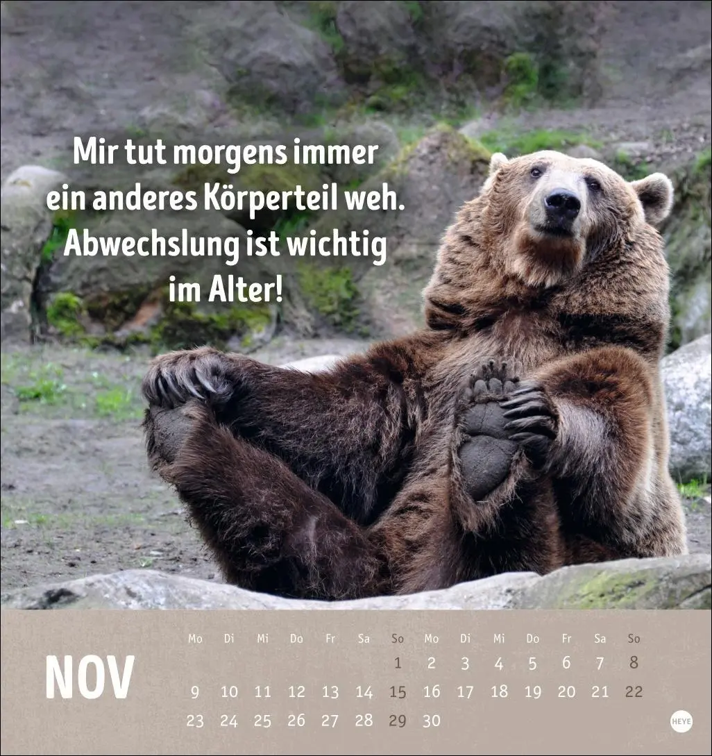 Bild: 9783756413522 | Alt! Aber gut drauf Postkartenkalender 2026 - Der tierische...