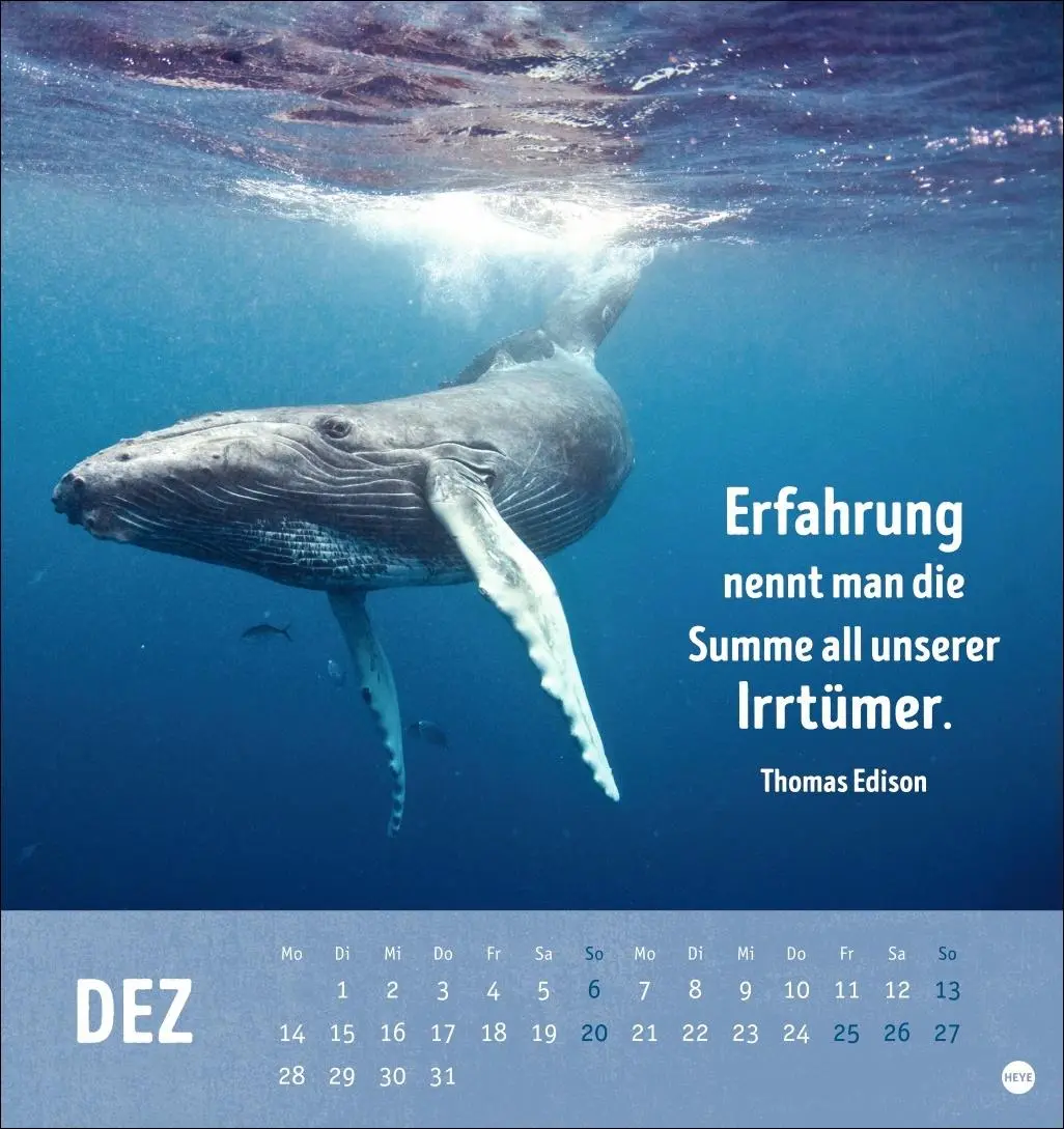 Bild: 9783756413522 | Alt! Aber gut drauf Postkartenkalender 2026 - Der tierische...