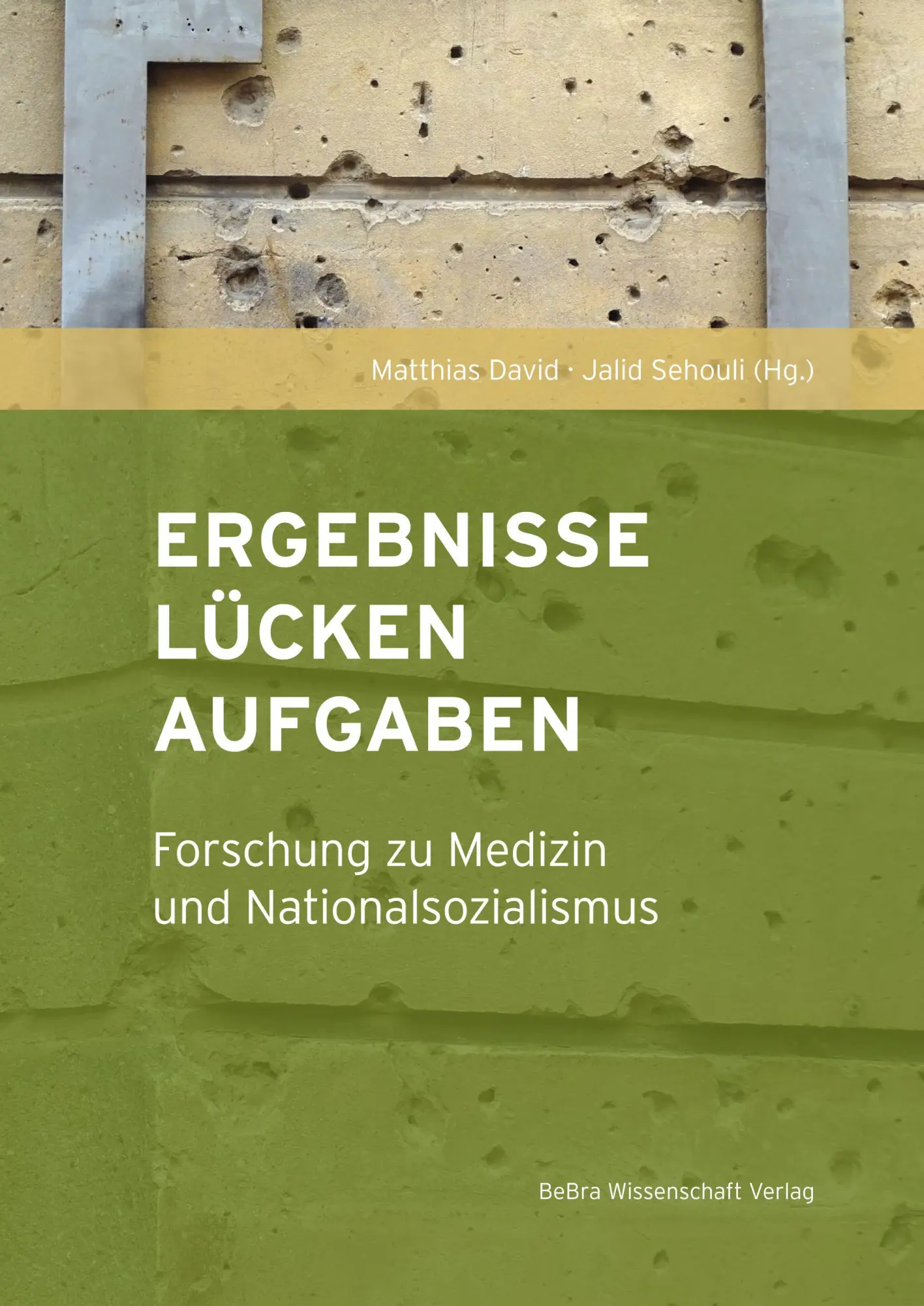 Cover: 9783954103522 | Ergebnisse, Lücken, Aufgaben | Matthias David (u. a.) | Taschenbuch