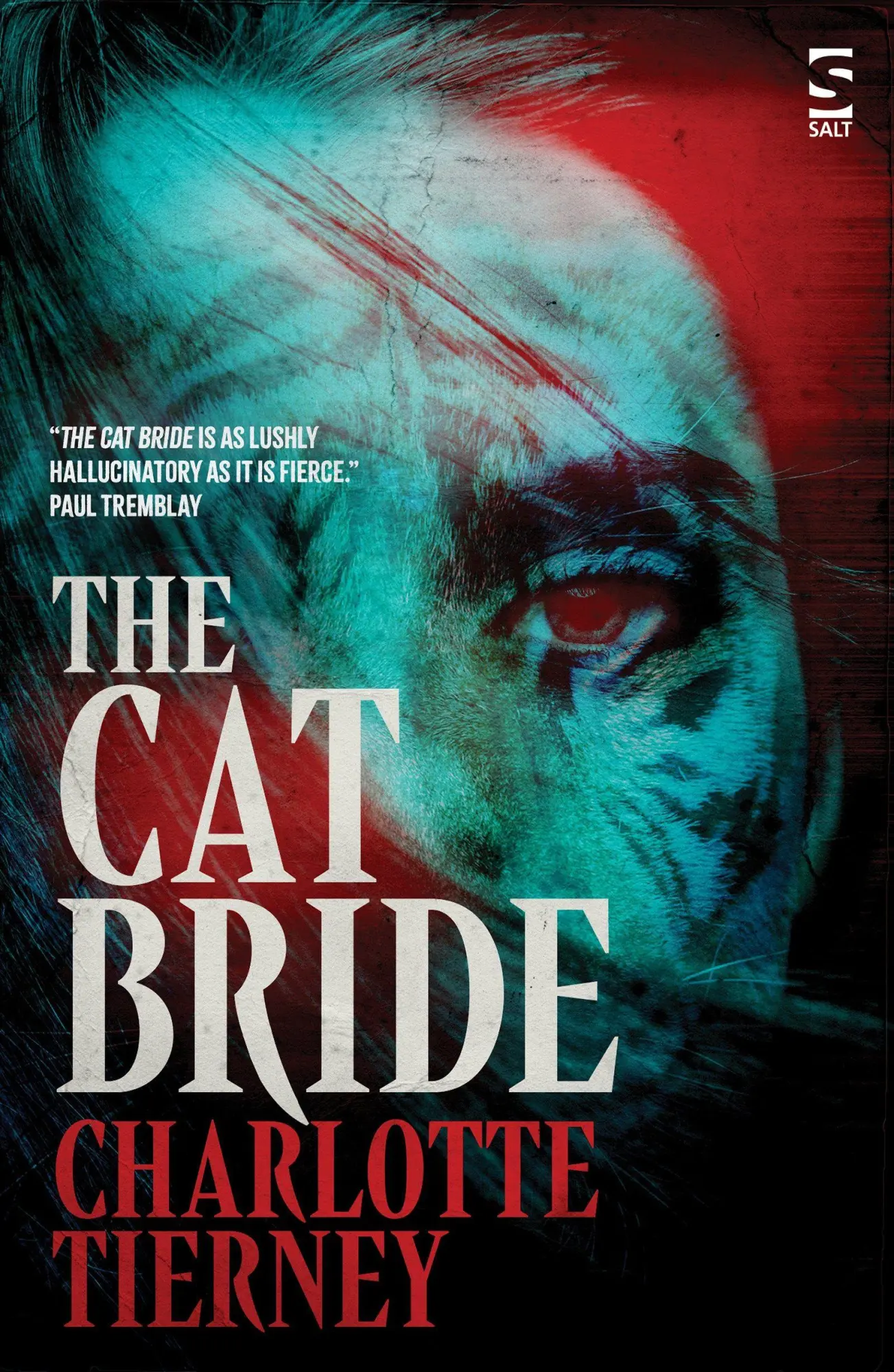 Cover: 9781784633622 | The Cat Bride | Charlotte Tierney | Taschenbuch | Englisch | 2025