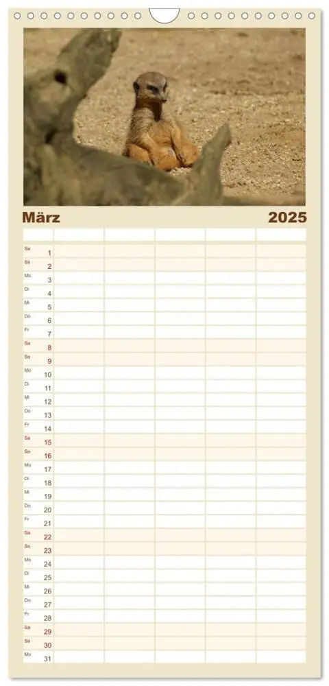 Bild: 9783457113622 | Familienplaner 2025 - Erdmännchen: Zusammen sind wir stark mit 5...