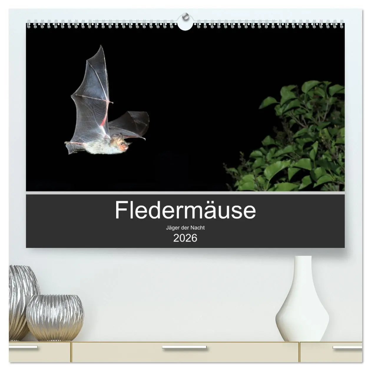 Cover: 9783457733622 | Fledermäuse - Jäger der Nacht (hochwertiger Premium Wandkalender...