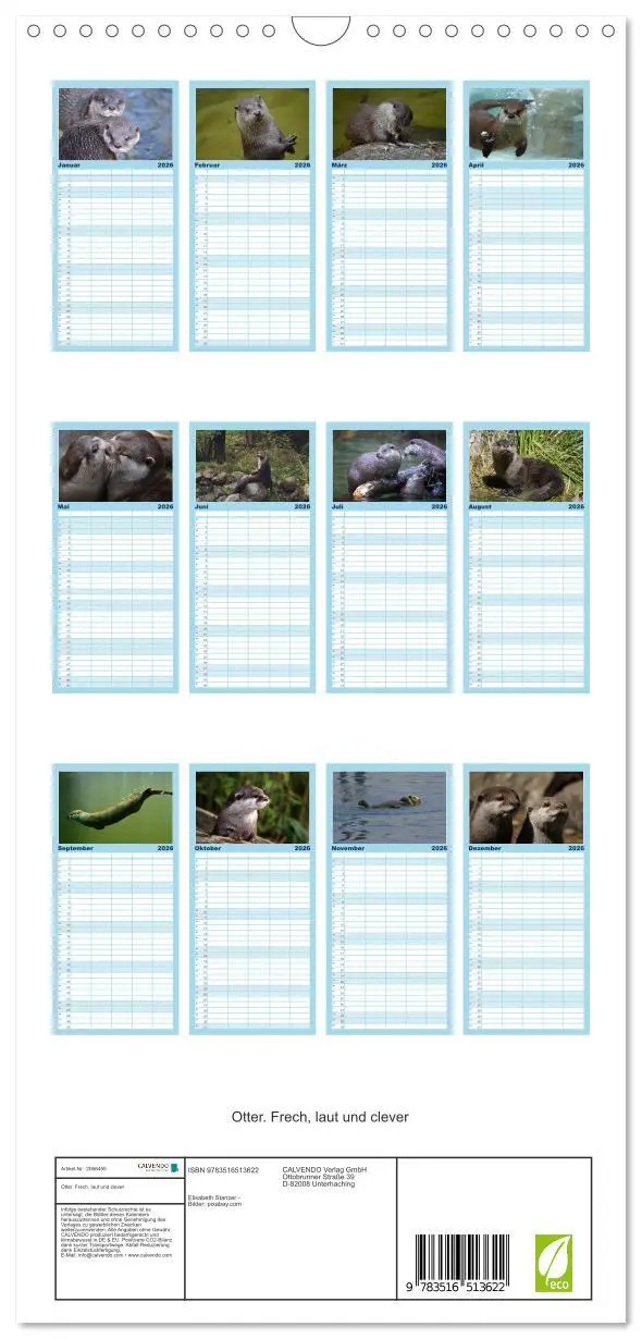 Bild: 9783516513622 | Familienplaner 2026 - Otter. Frech, laut und clever mit 5 Spalten...