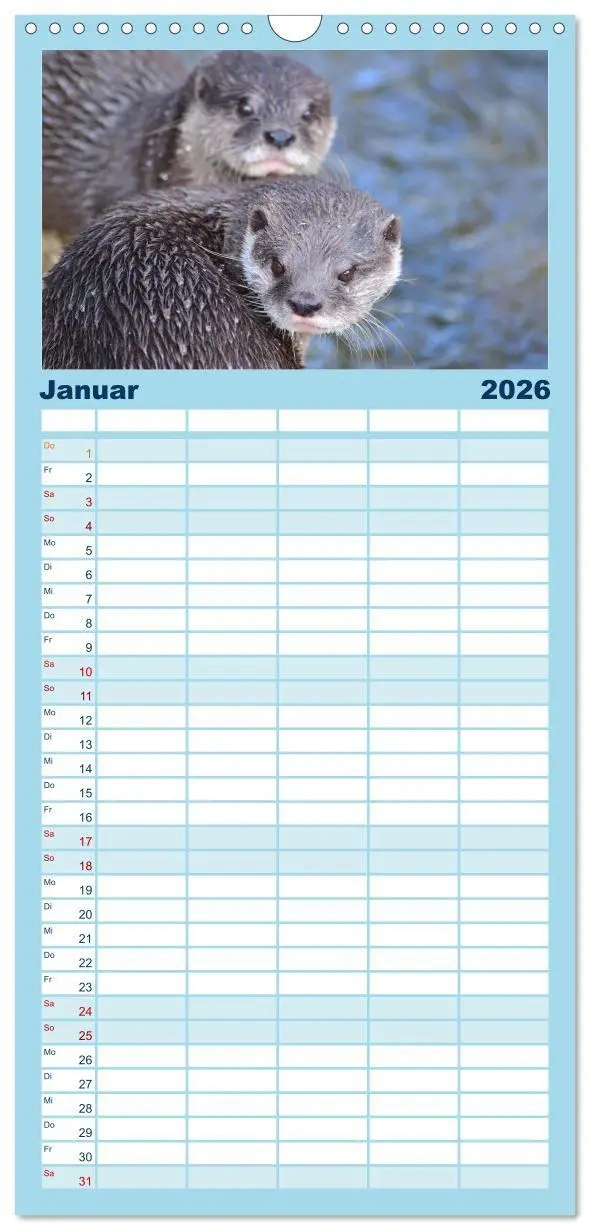 Bild: 9783516513622 | Familienplaner 2026 - Otter. Frech, laut und clever mit 5 Spalten...